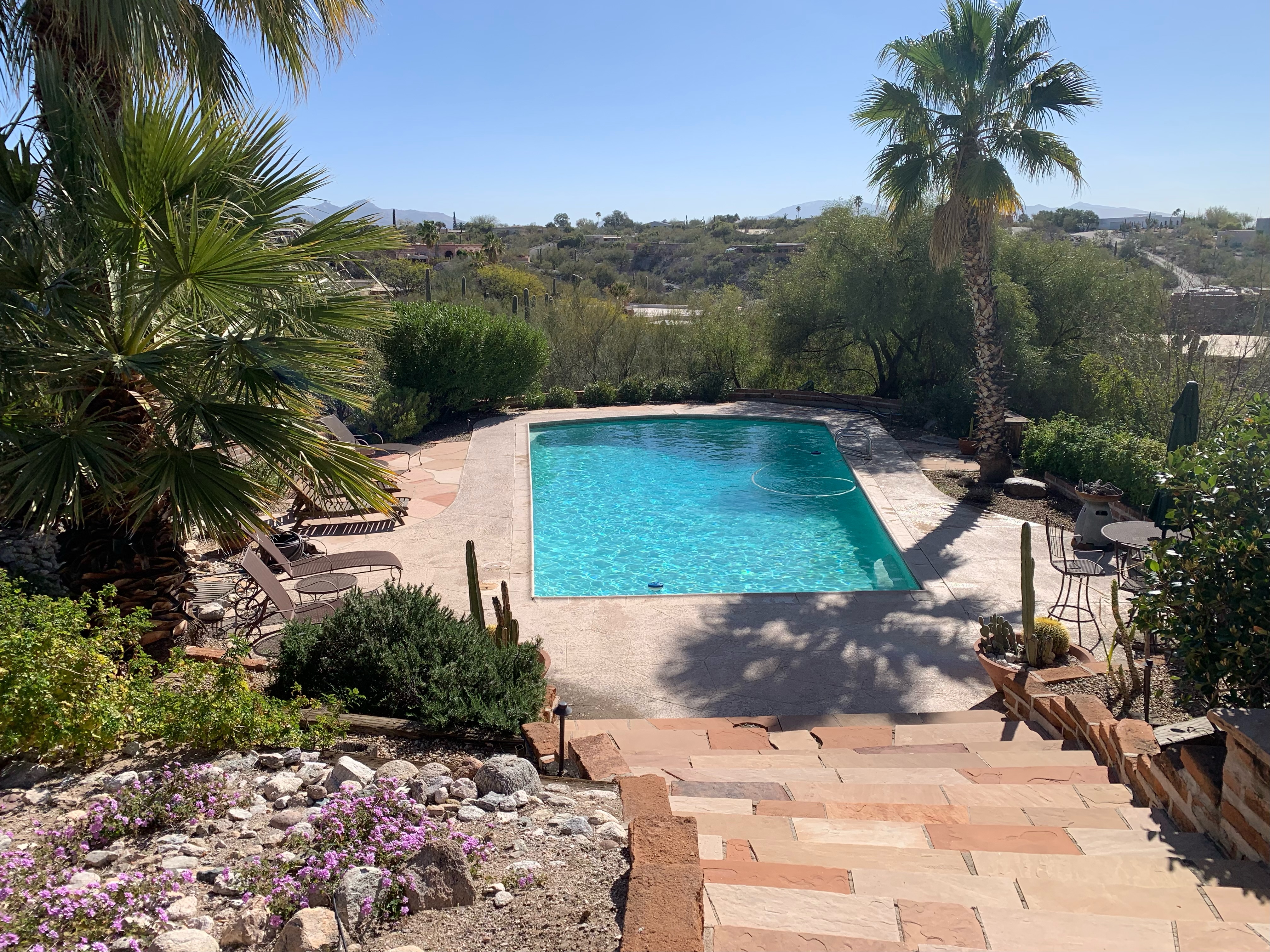 Above Board Pool Services, LLC: Service Image-7 Above Board Pool Services, LLC: Service Image-7